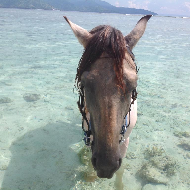 Hotel Gili T Sugar Shack Gili Trawangan Esterno foto